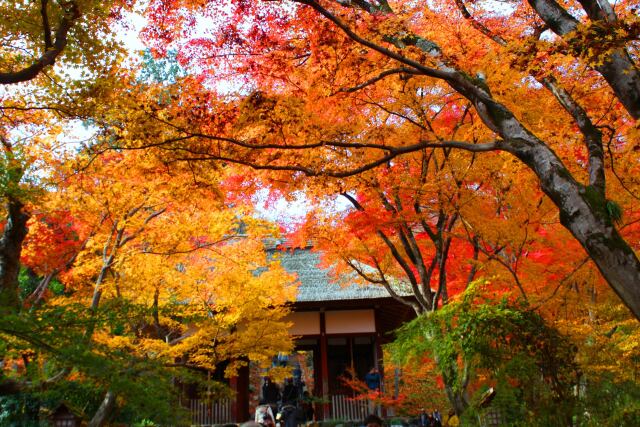 常寂光寺