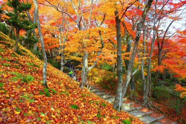 常寂光寺