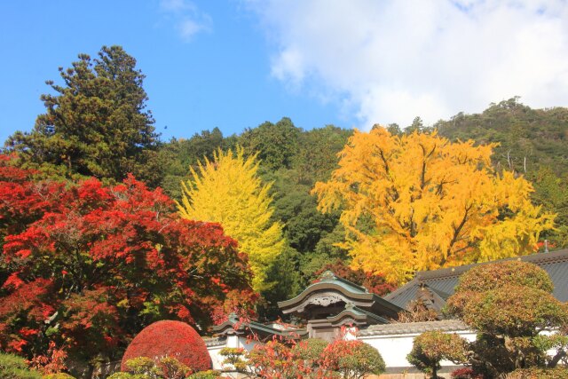 大窪寺の紅葉-3