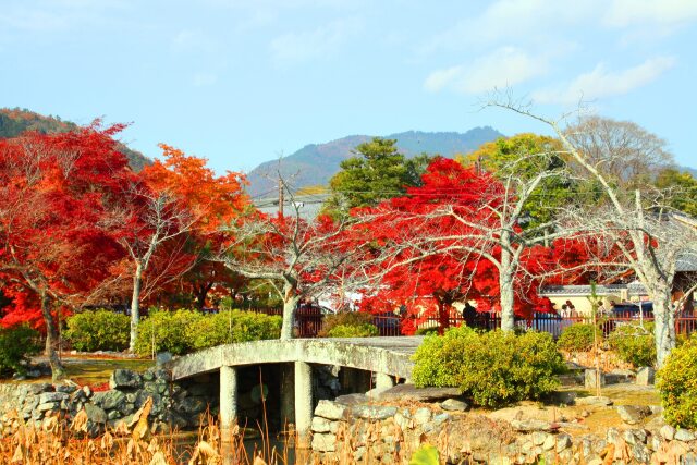 天龍寺