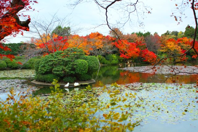 竜安寺