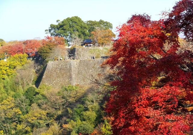 栄枯は移る今もなお