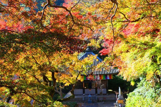 奈良長谷寺