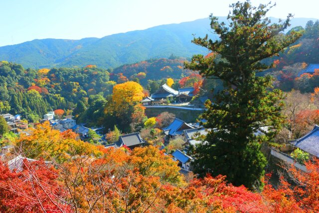 奈良長谷寺