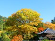 奈良長谷寺