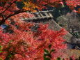 山寺の紅葉