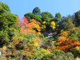 室生寺