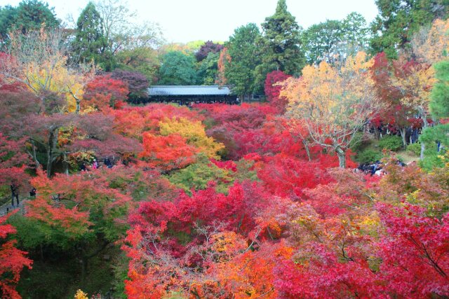 東福寺