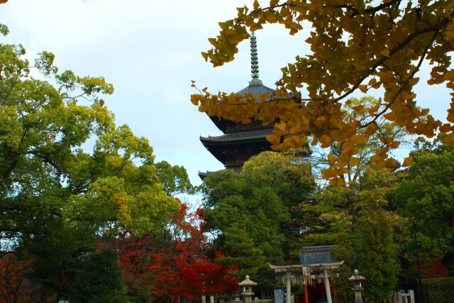 東寺