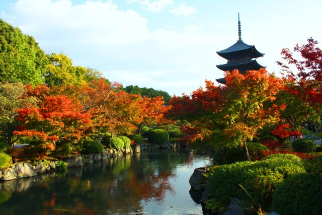 東寺