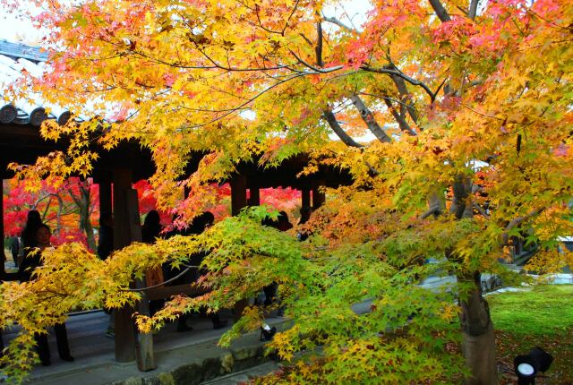 東福寺