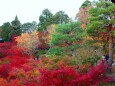 東福寺