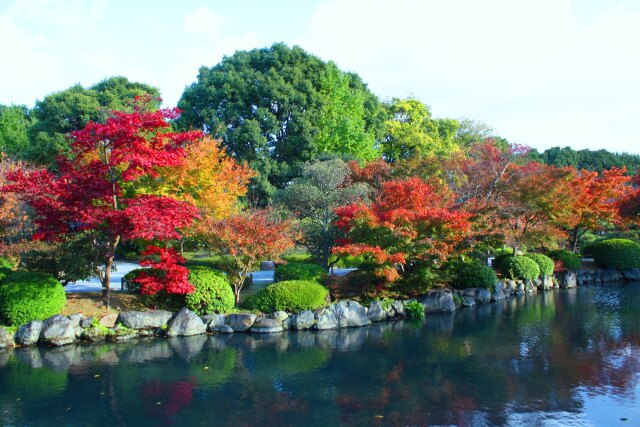 東寺