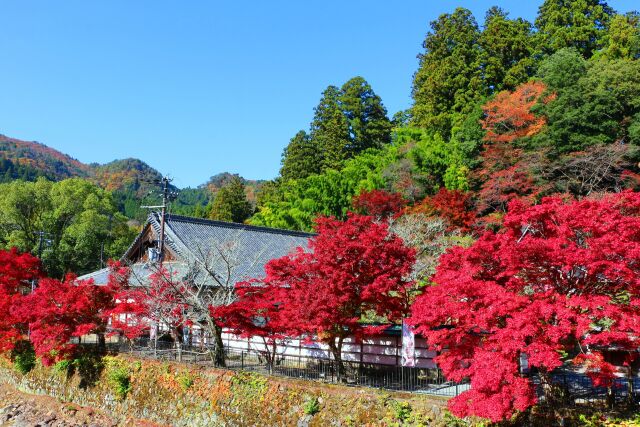 室生寺