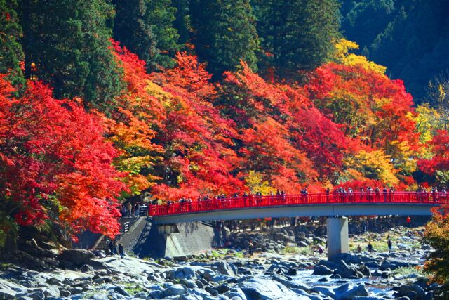 香嵐渓