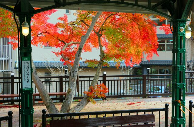 比叡山口駅