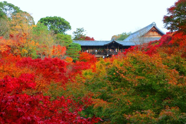 東福寺