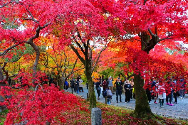 東福寺