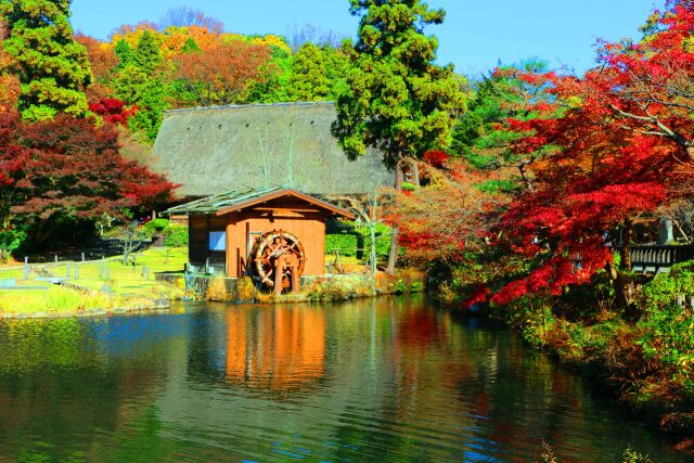 東山動植物園