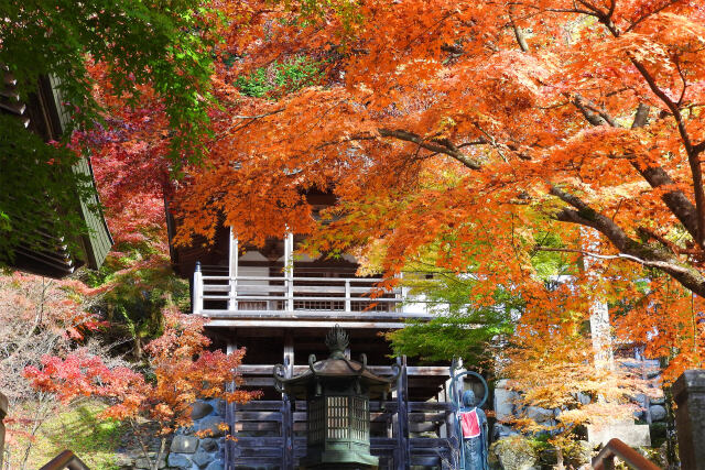 長源寺 秋