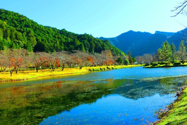 秋の下北山村