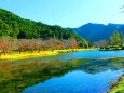 秋の下北山村