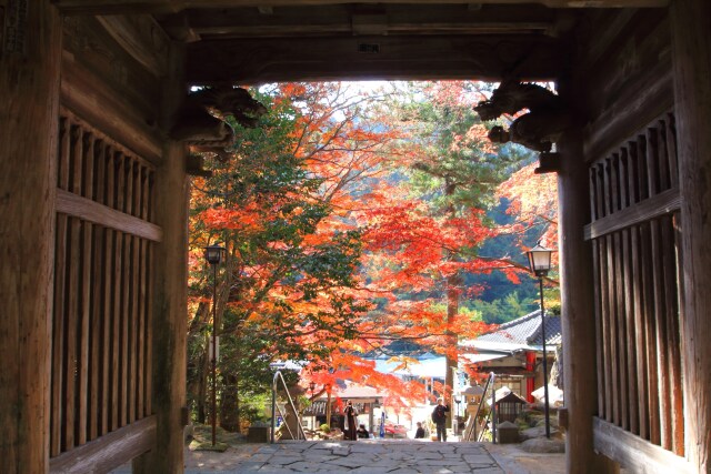 山門からの眺め