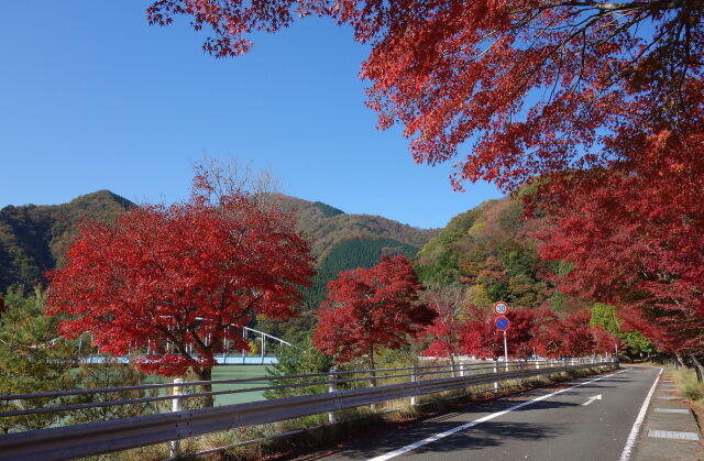 丹沢湖.千代の沢園地