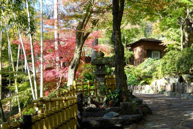 紅葉巡りの順路