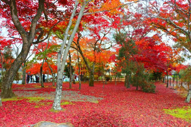 天龍寺