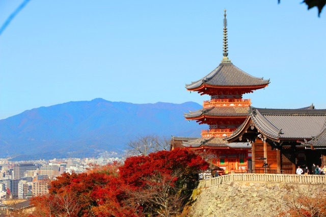 清水寺2020年11月