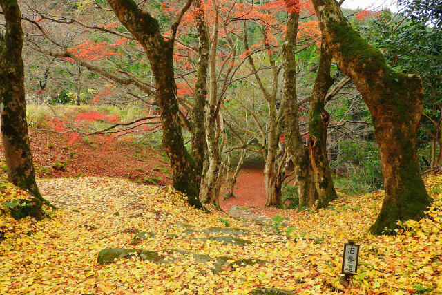 清徳寺 深まる秋