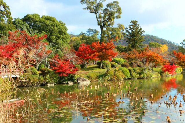 大覚寺