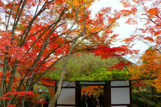 常寂光寺