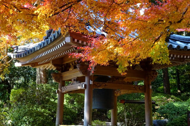 山寺鐘楼の紅葉