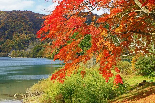 湖畔の紅葉