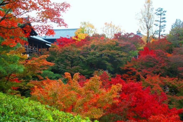 東福寺