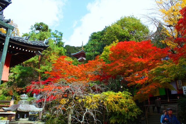 泉涌寺