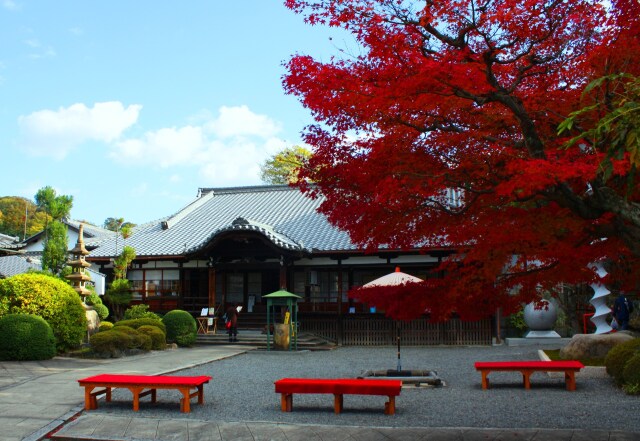 泉涌寺