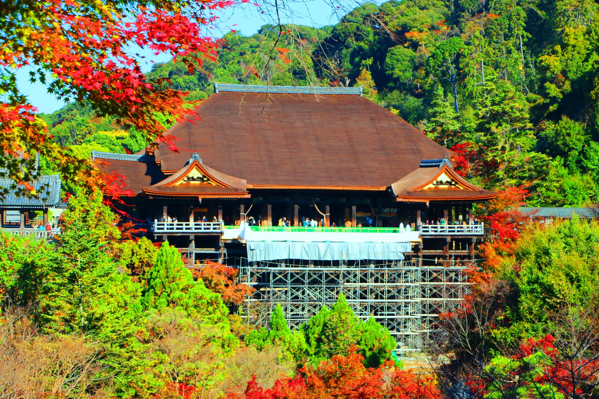 日本の風景 清水寺年11月 壁紙19x1280 壁紙館