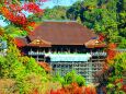 清水寺2020年11月