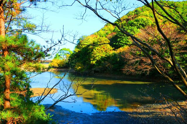 秋の東紀州