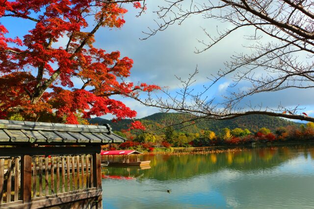 大覚寺