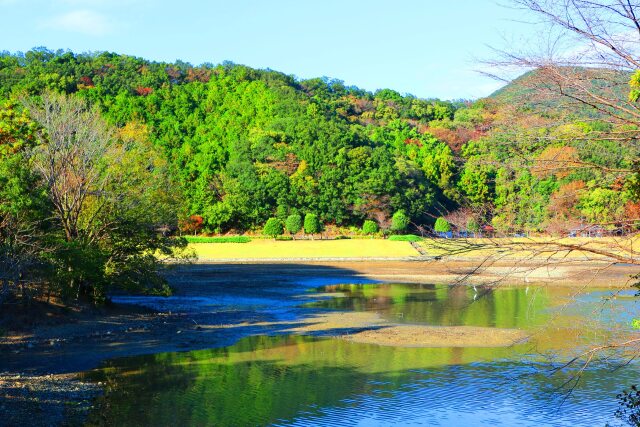 秋の東紀州