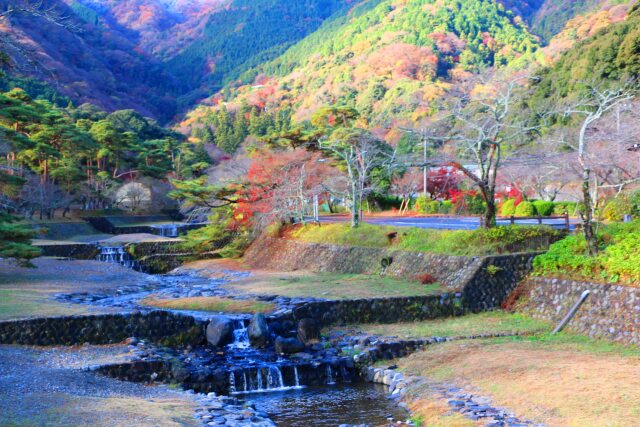 養老公園