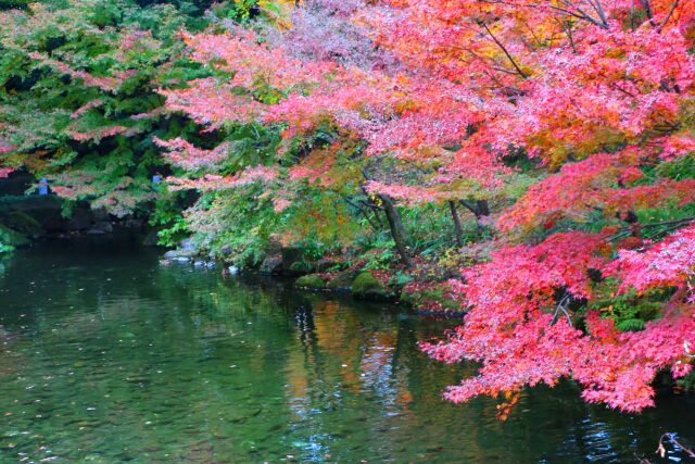 徳川園