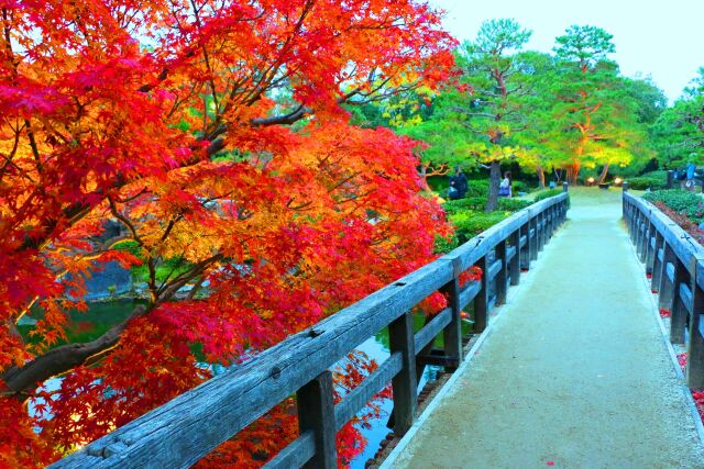 白川庭園