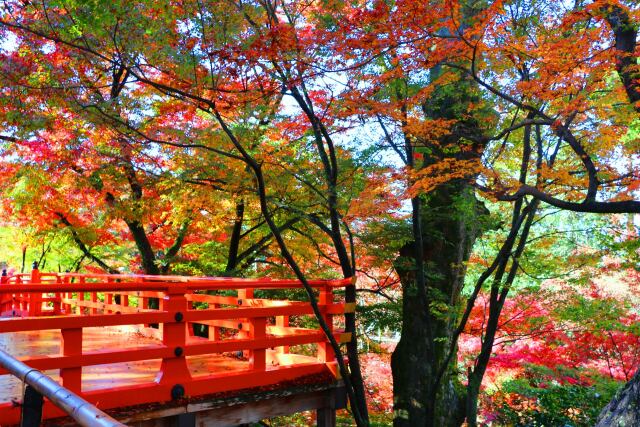 北野天満宮