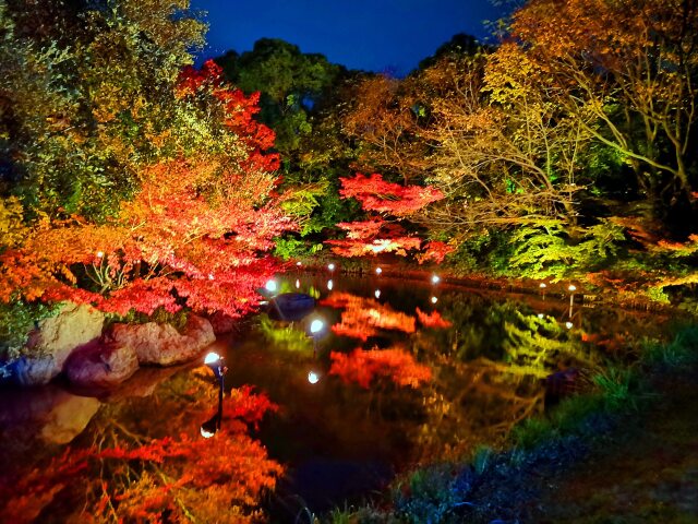 白川庭園