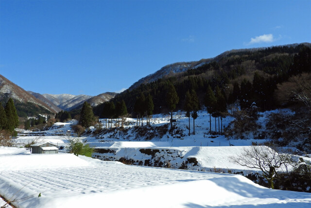 冬を迎えた山里